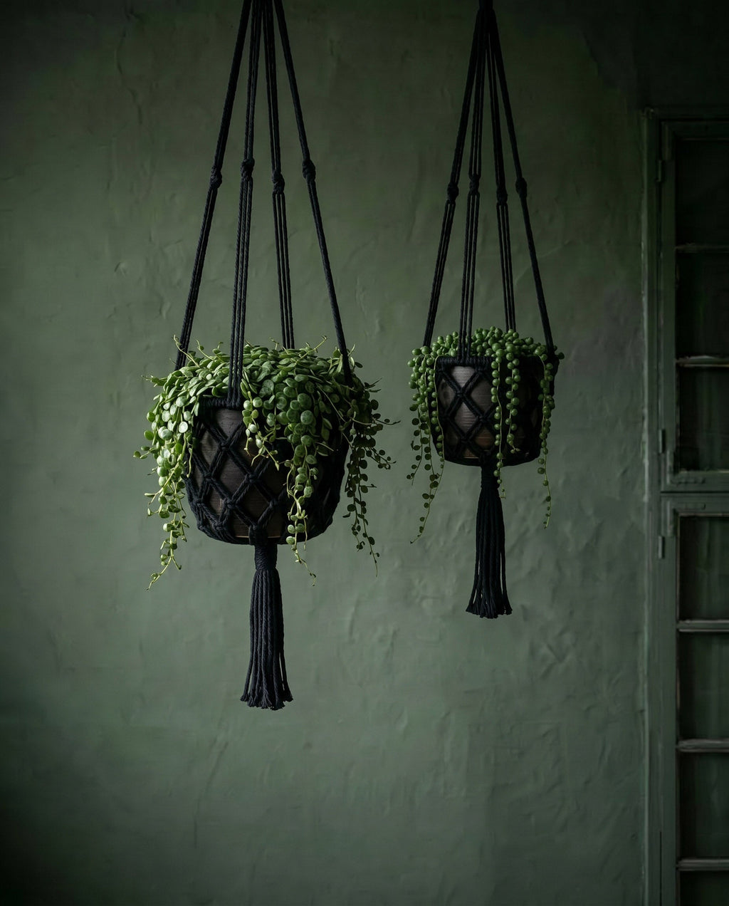 Suspension plante en macramé coton noir avec franges – H110 cm