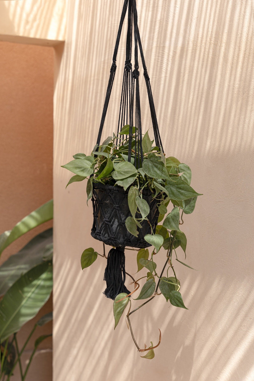 Suspension plante macramé noir en coton tressé avec franges – H100 cm