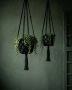Suspension plante macramé noir en coton tressé avec franges – H100 cm