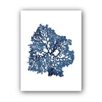 Affiche coraux bleues variante 3