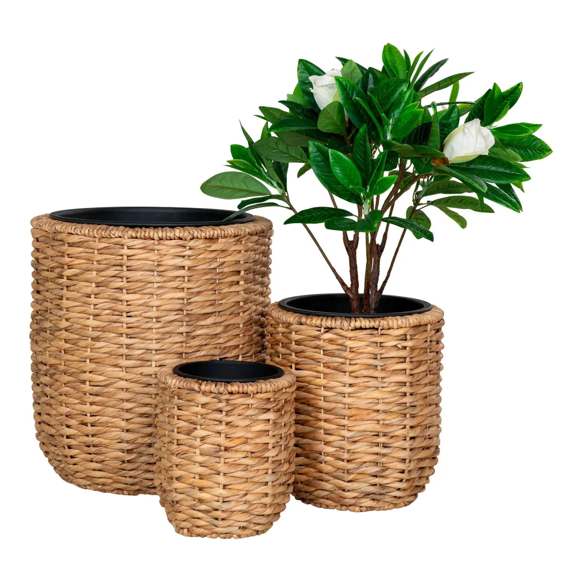 Set de 3 cache-pots ronds en jacinthe d’eau naturelle tressée