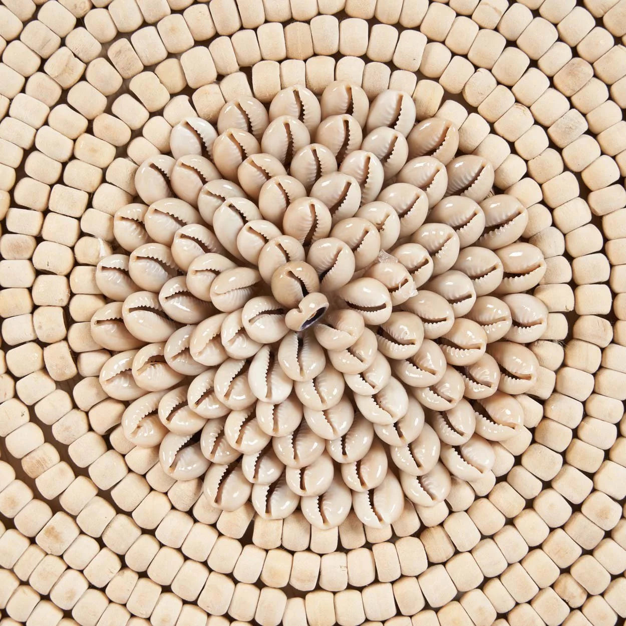 Arrangement circulaire symétrique de cauris blancs naturels sur socle, H40 cm