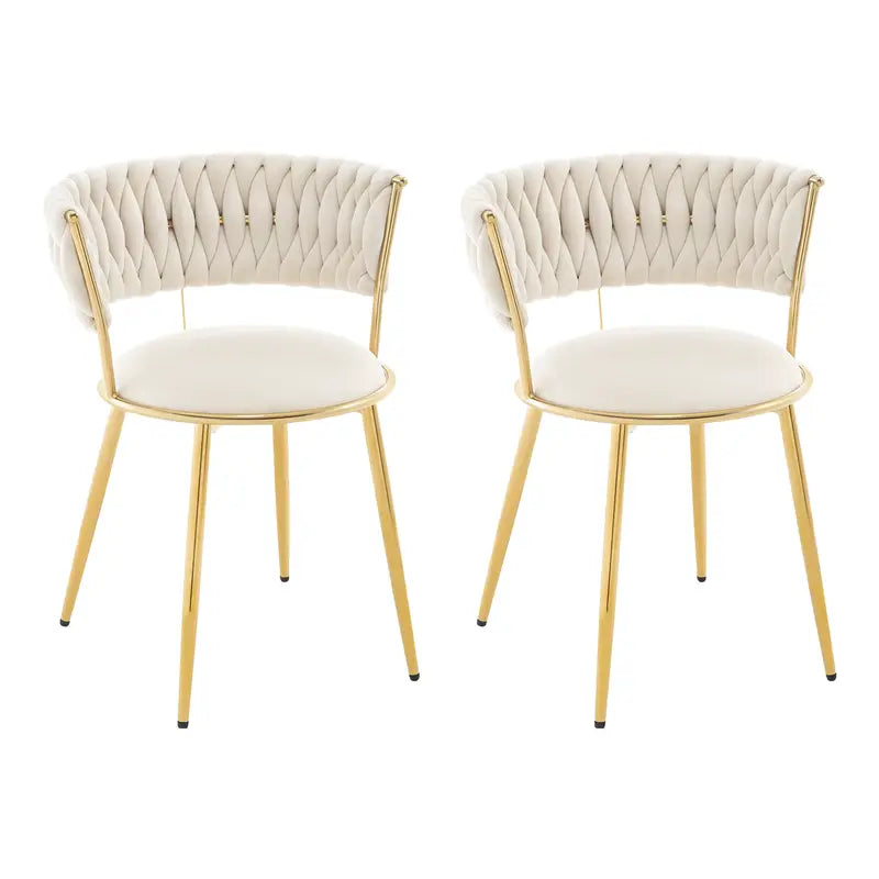 Lot 2 chaises en velours