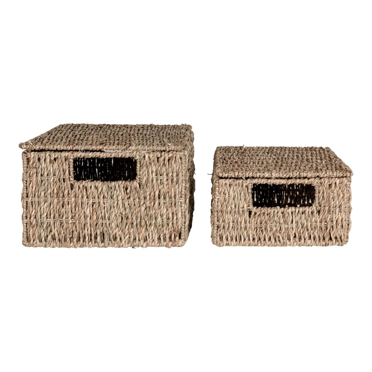 Paniers rectangulaires en fibres naturelles avec couvercle et poignées noires