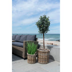Panier rond en rotin tressé gris avec anse, contenant verdure