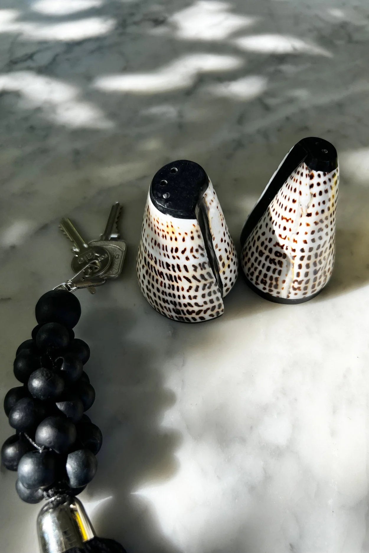 Paire de salières et poivrières en coquillages coniques élégants à motif tacheté noir et blanc
