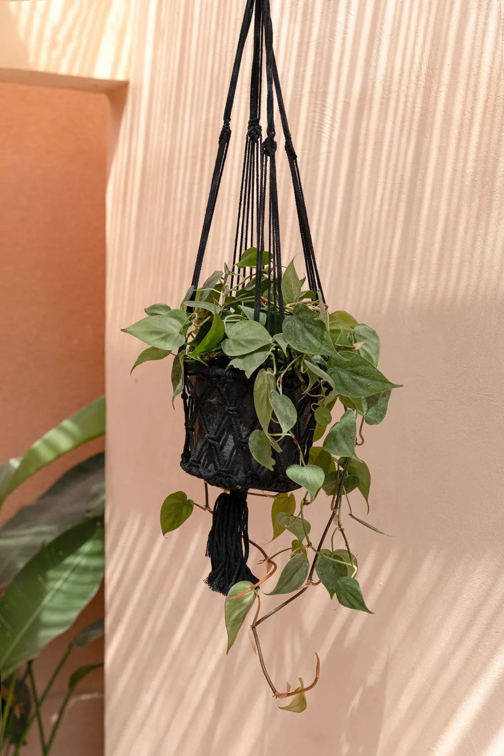 Support en macramé noir en coton avec plante verte suspendue, H100 cm