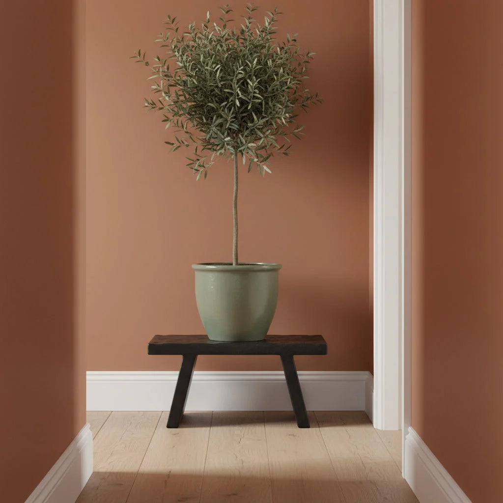 Tabouret artisanal en bois de manguier noir avec olivier en pot vert sauge, 40x25 cm